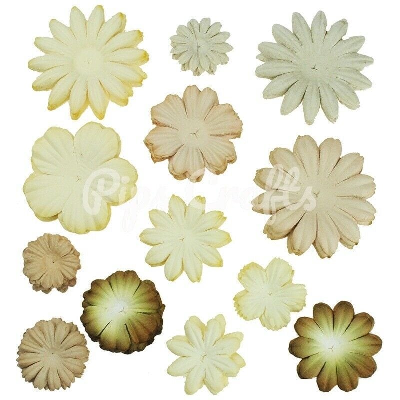 Mulberry Paper Flower Blooms - Mixed Earth/Natural