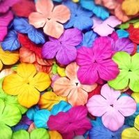 Mulberry Paper Hydrangea Flowers 25mm - Mixed Colours