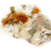 200+ Assorted Natural Feathers (25g)