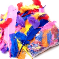 200+ Assorted Colour Feathers (25g)