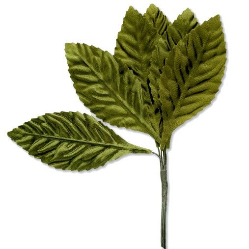 Green Satin Silk Leaves on Stem - 35mm