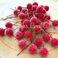 Red Frosted Berries On A Wire Stem
