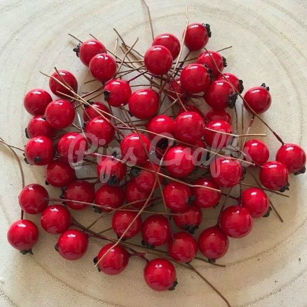 Red Shiny Berries On A Wire Stem