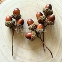 Brown Acorns On A Wire Stem