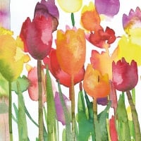 Spring Tulips Greetings Card