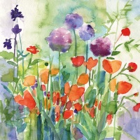 Alliums and poppies Greetings Card