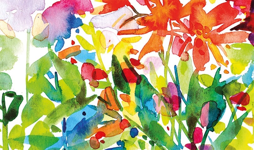 Dahlia Watercolour