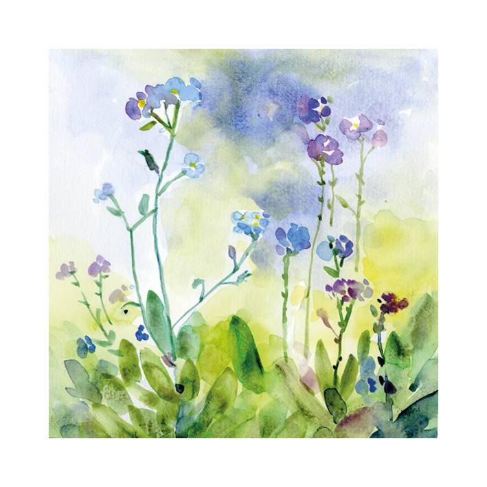 Forget-me-not Flowers signed Print
