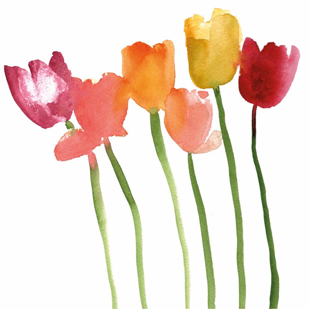 Simply Tulips Greetings Card