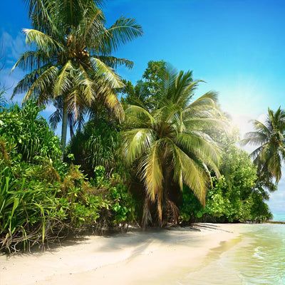 Island Shores