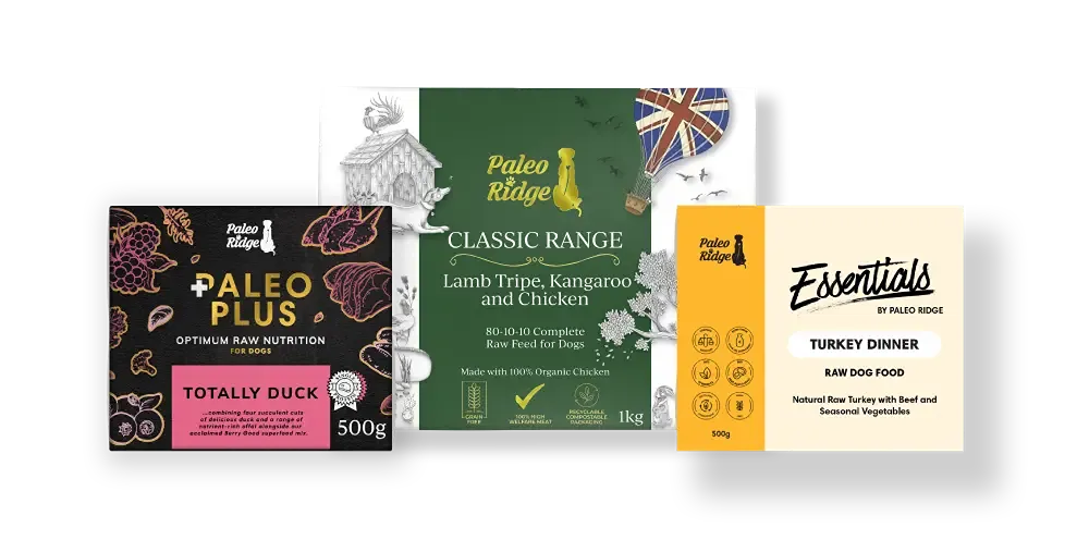 paleo-ridge-ranges