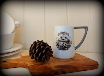 Small Hedgehog Ceramic Jug