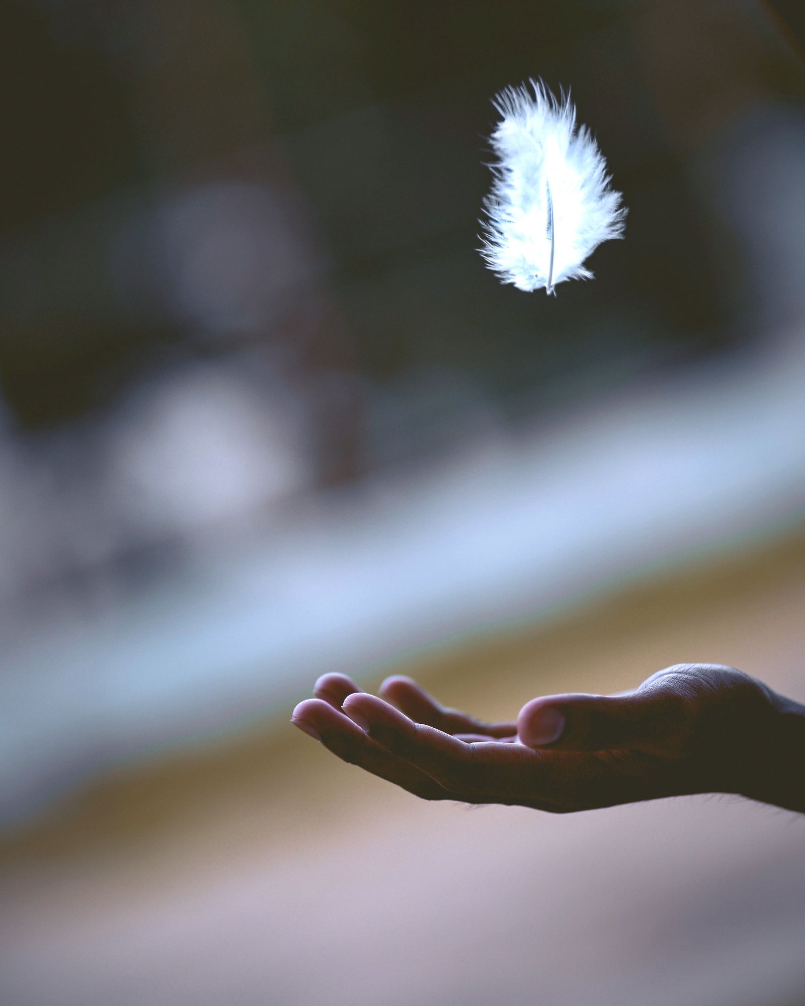 Close up of a white feather floating above a man's hand