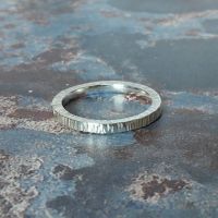 Birch Argentium Silver Ring