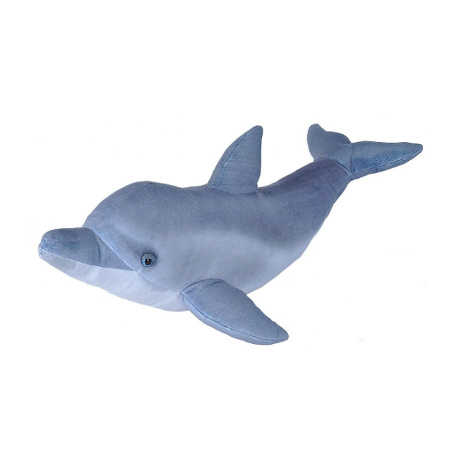 cuddly dolphin