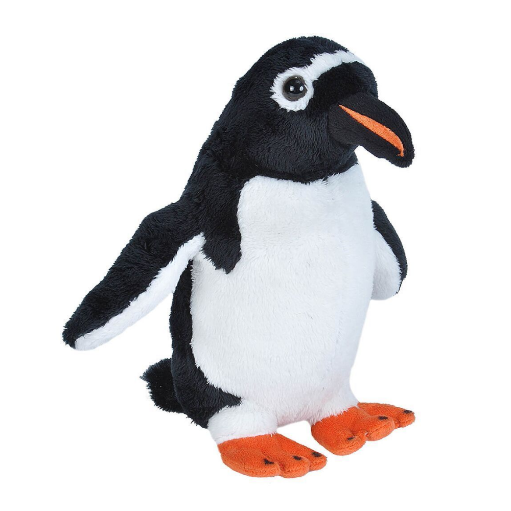 cuddly penguin