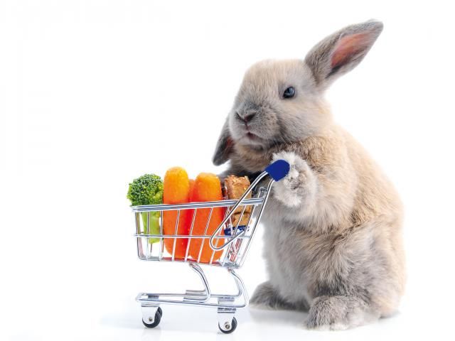 shopping bunny 2