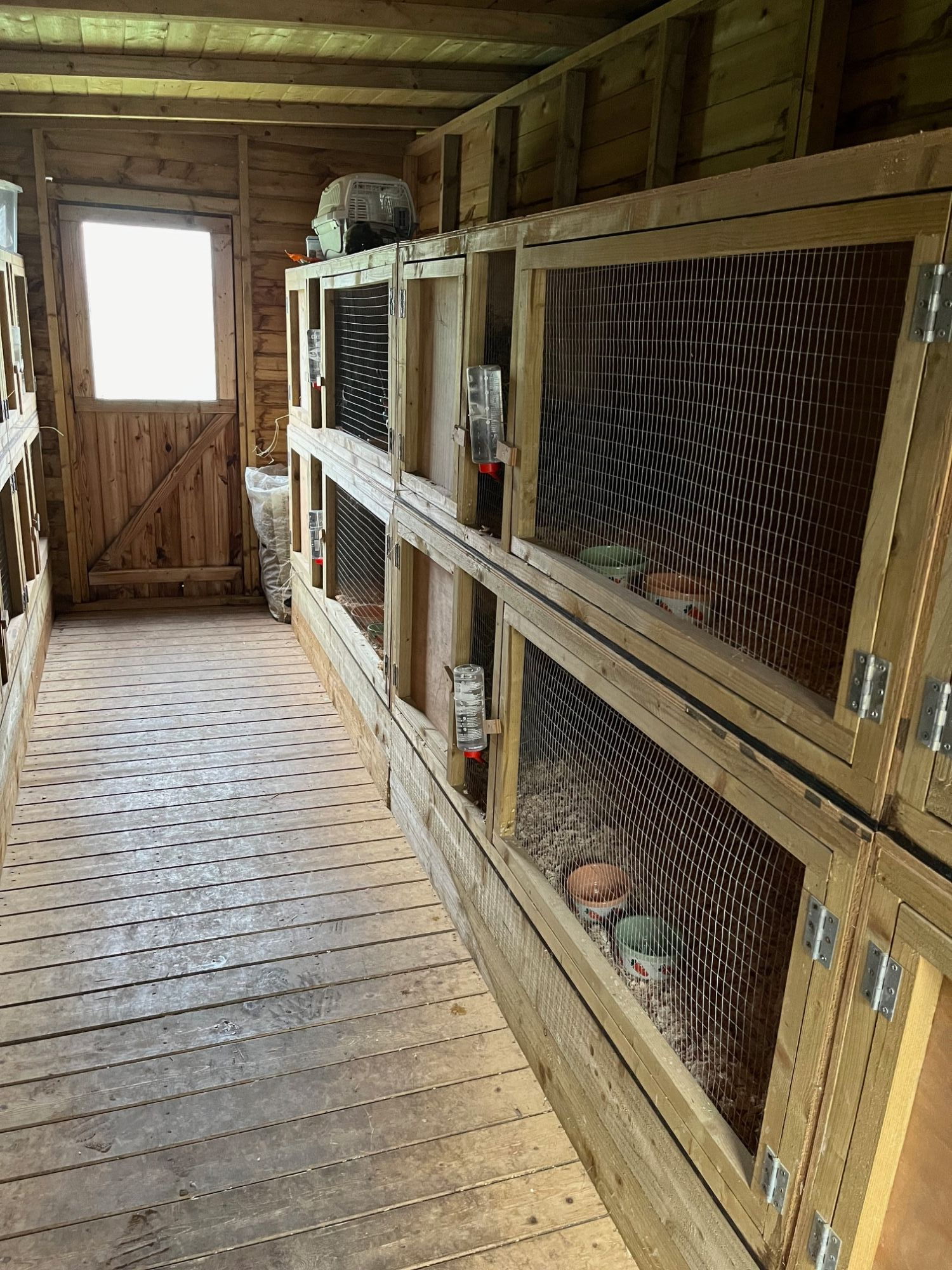 bunny hotel new 24