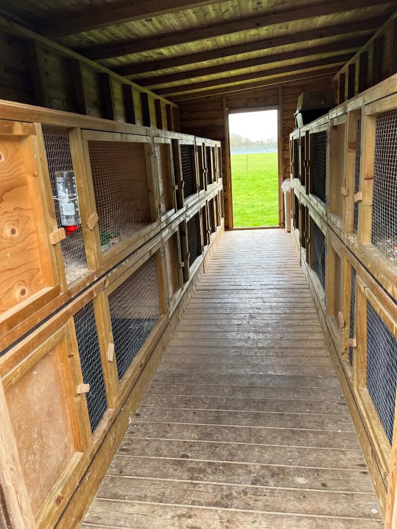 bunny hotel door open.jpg