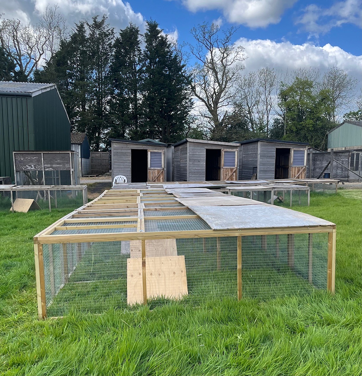 rabbit runs with shed.jpg