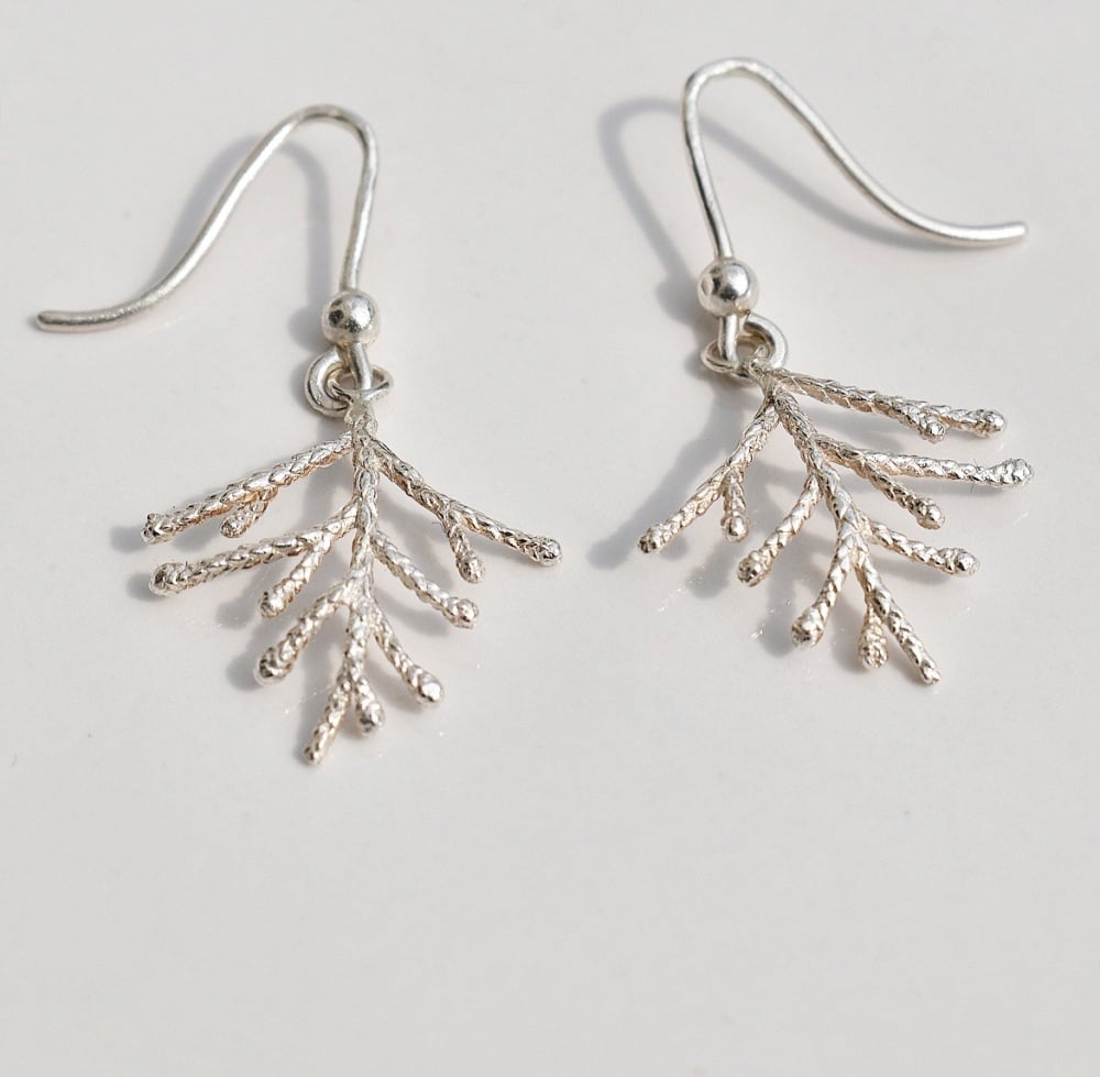 Cedar Earrings