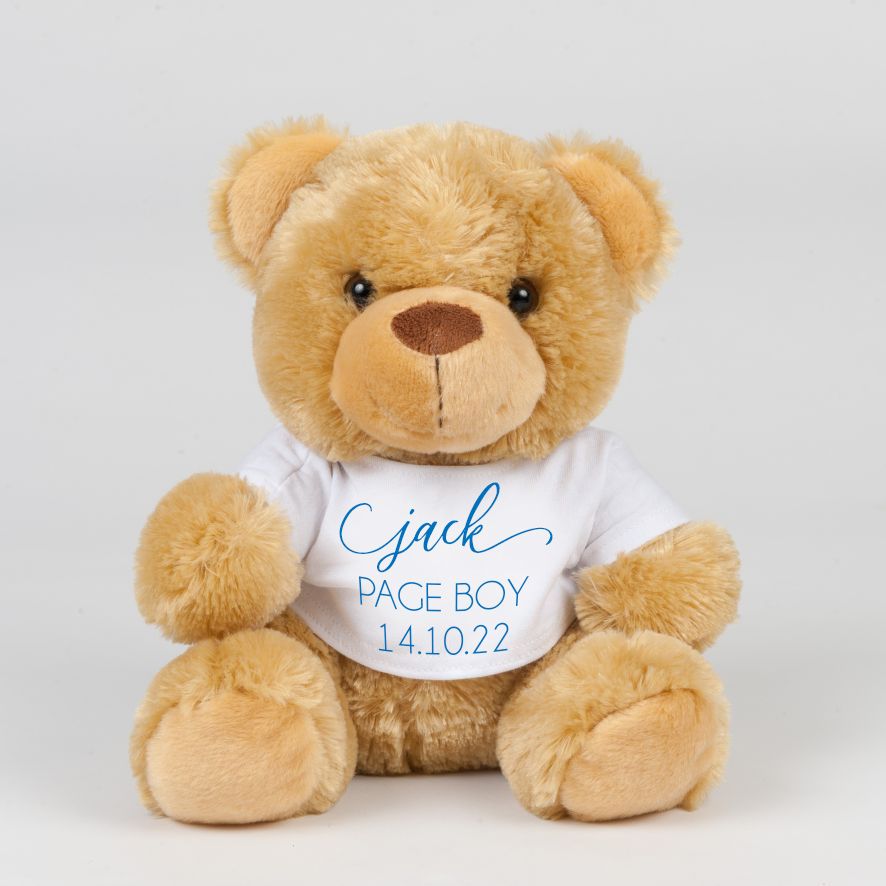pageboy teddy