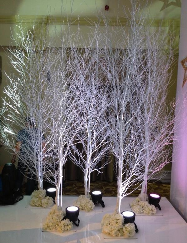 White Birch Tree/Winter Wonderland theme