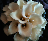 Fresh Flower for Bridal Bouquet