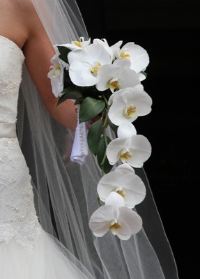 Orchid Bridal Fresh Flower Bouquets