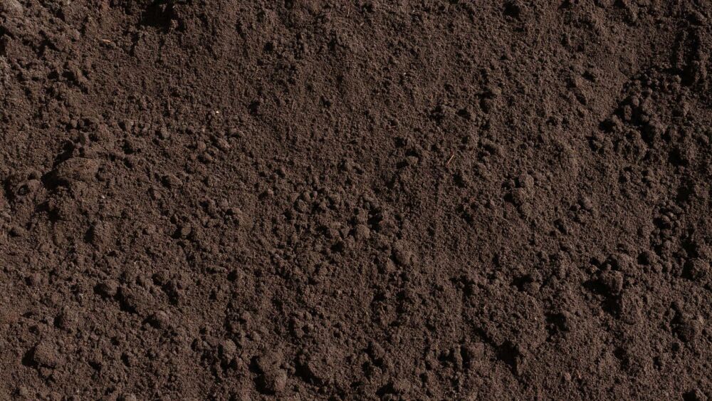 General Purpose Soil