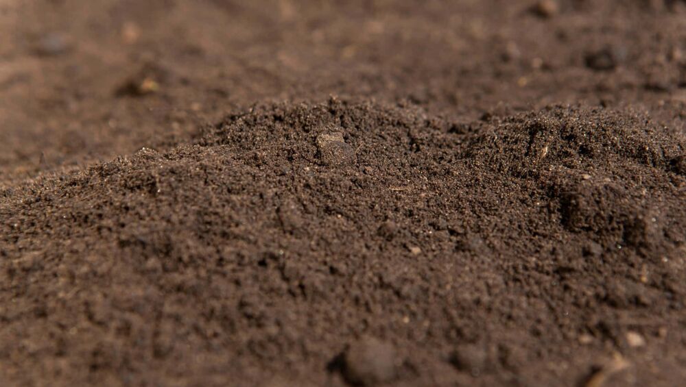 General Purpose Soil