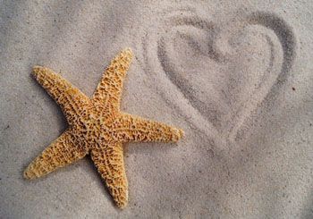 A starfish on sand, with a heart drawn into the sand next to it.