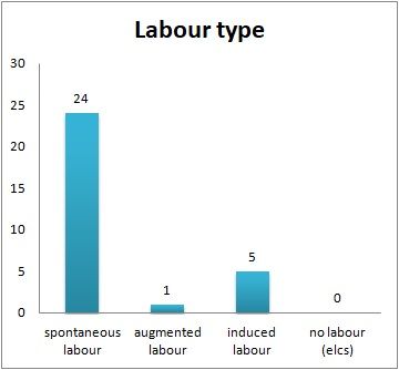 1-30 labour type