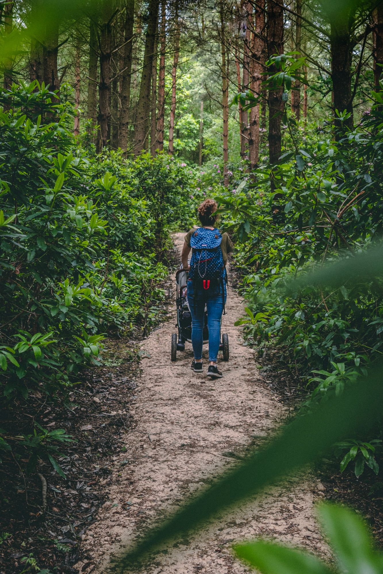 Image of a woman pushing a pram along a dirt path through a forest.