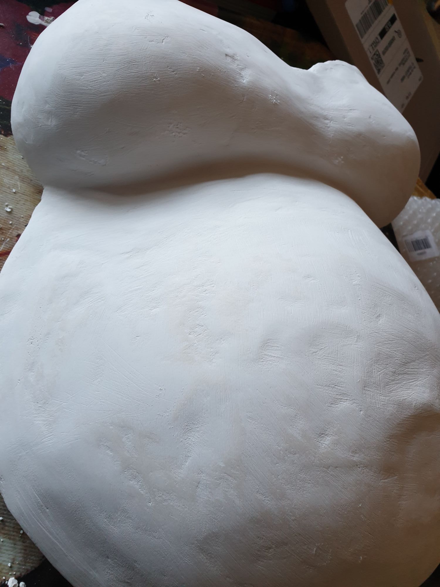 The cast with a couple of layers of smoothing plaster on it.