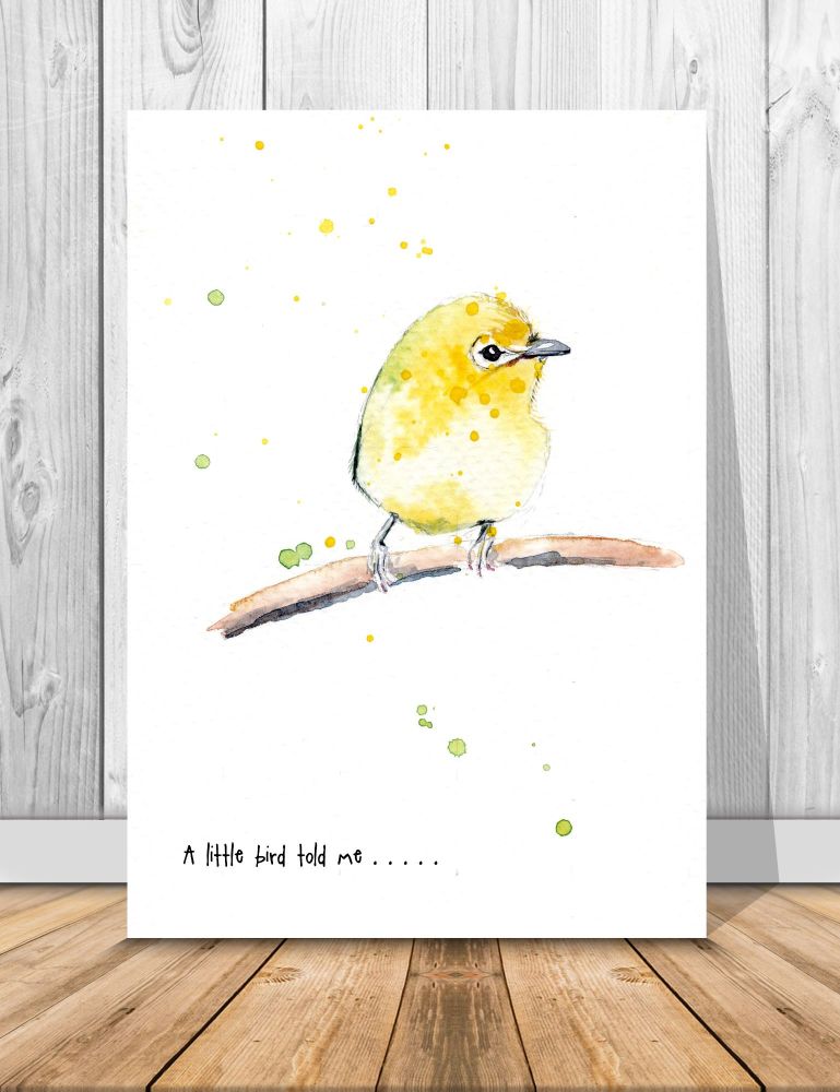EDL - 001P A little bird told me