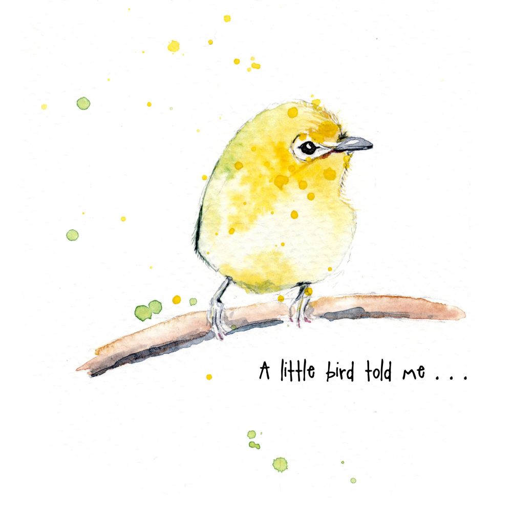 EDL - 001C A little bird told me.....