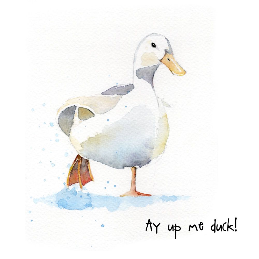 EDL - 004C Ay up me duck
