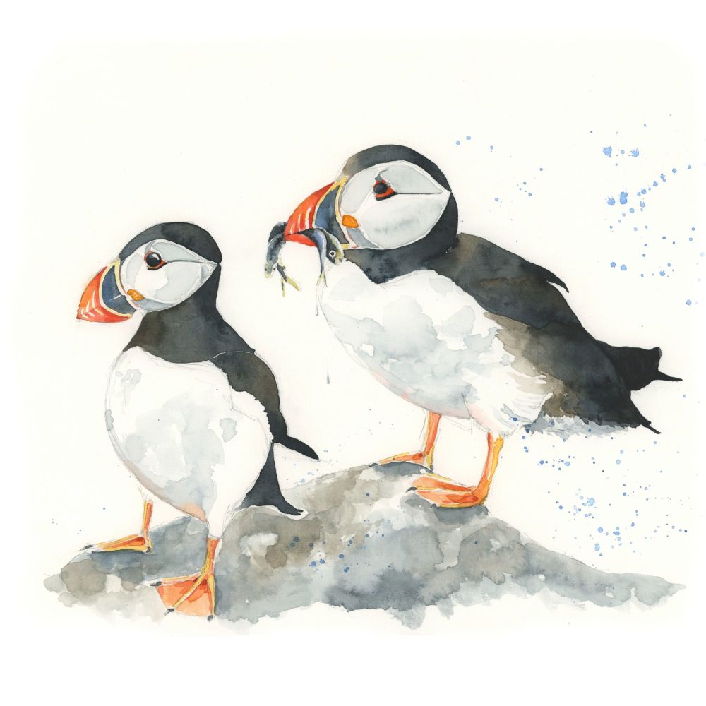 UTS - 012C Puffin