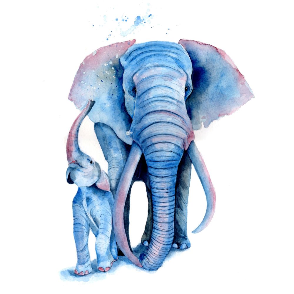 CGAS - 011C Never forget elephant