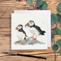 Puffins