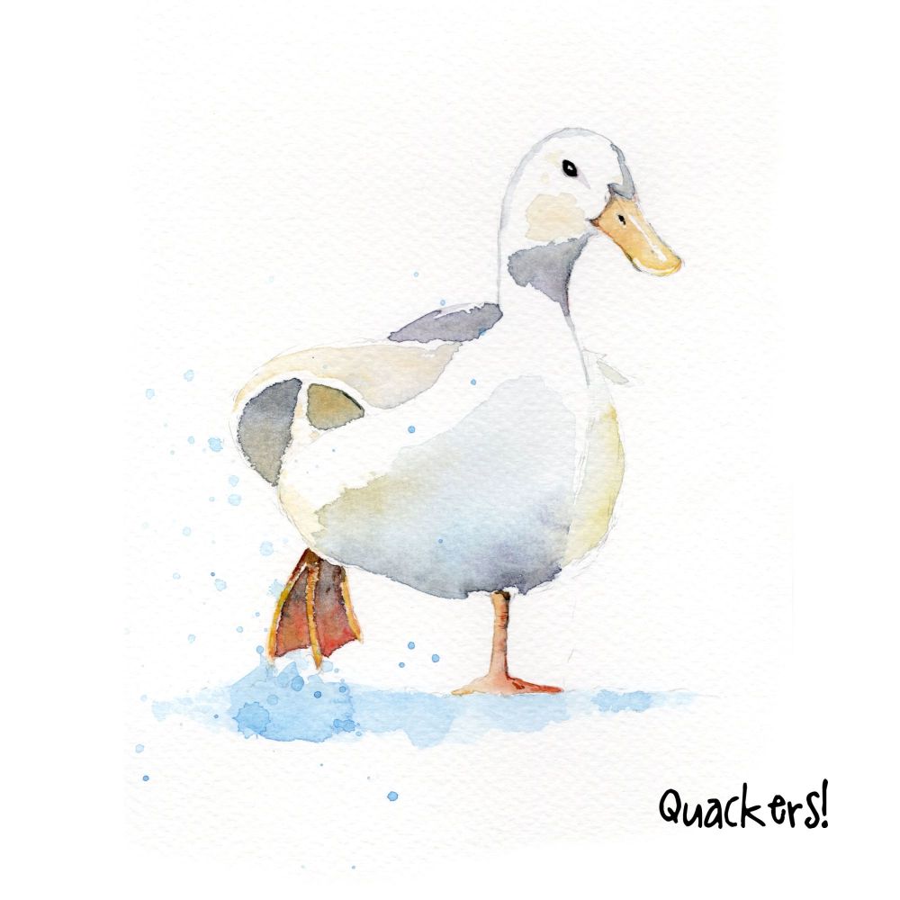 EDL - 015C Quackers
