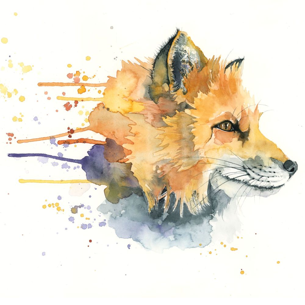 CGAS - 002C Fox