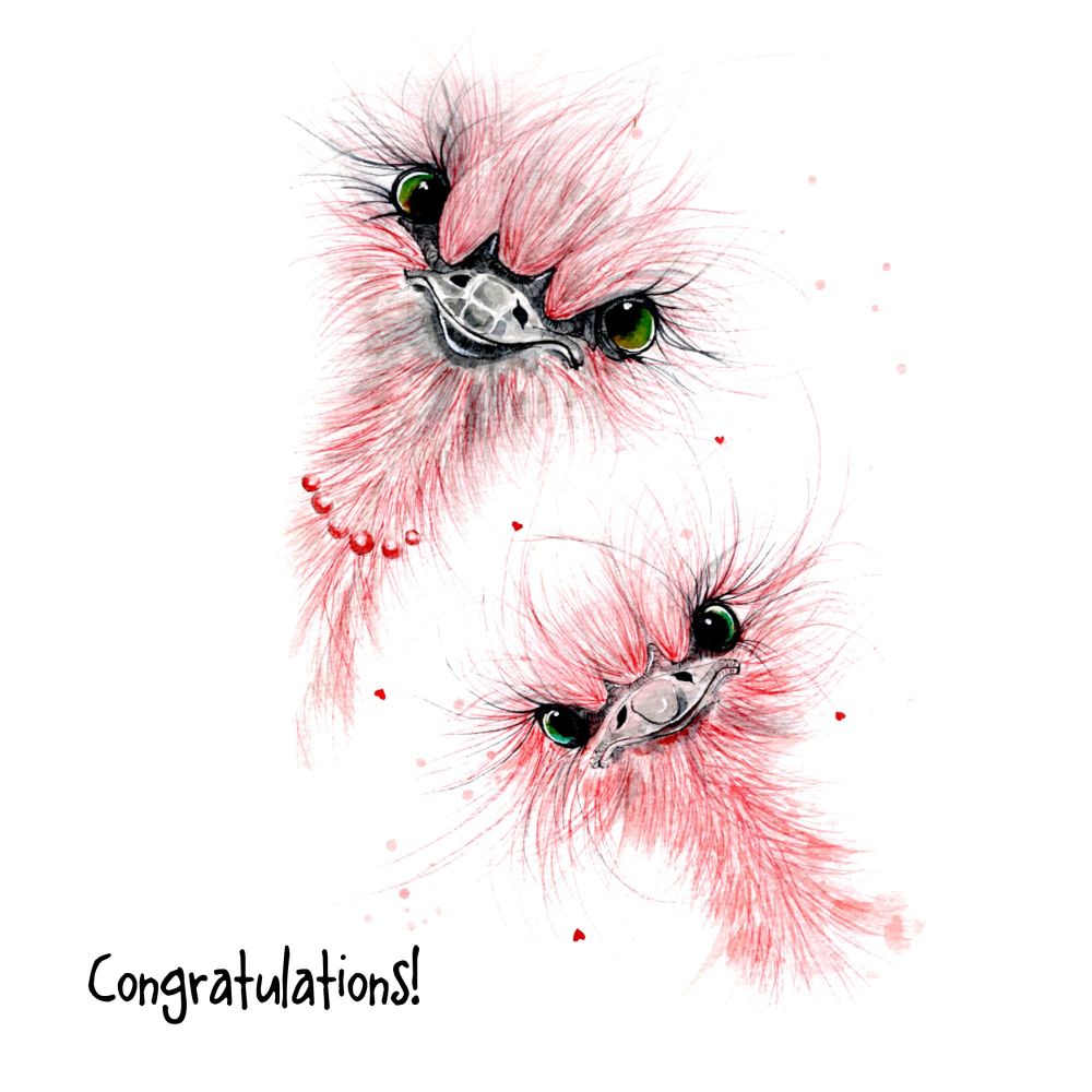 JTS - 001C Congratulations
