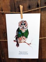 Oscar the owl