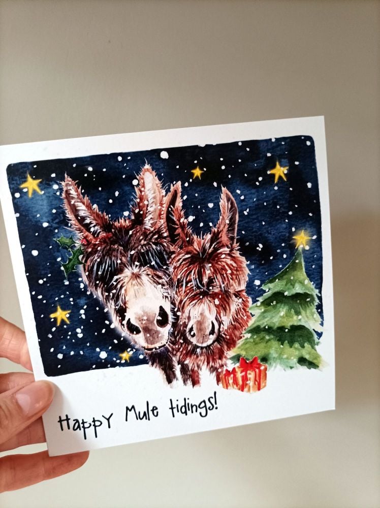 Happy Mule Tidings!