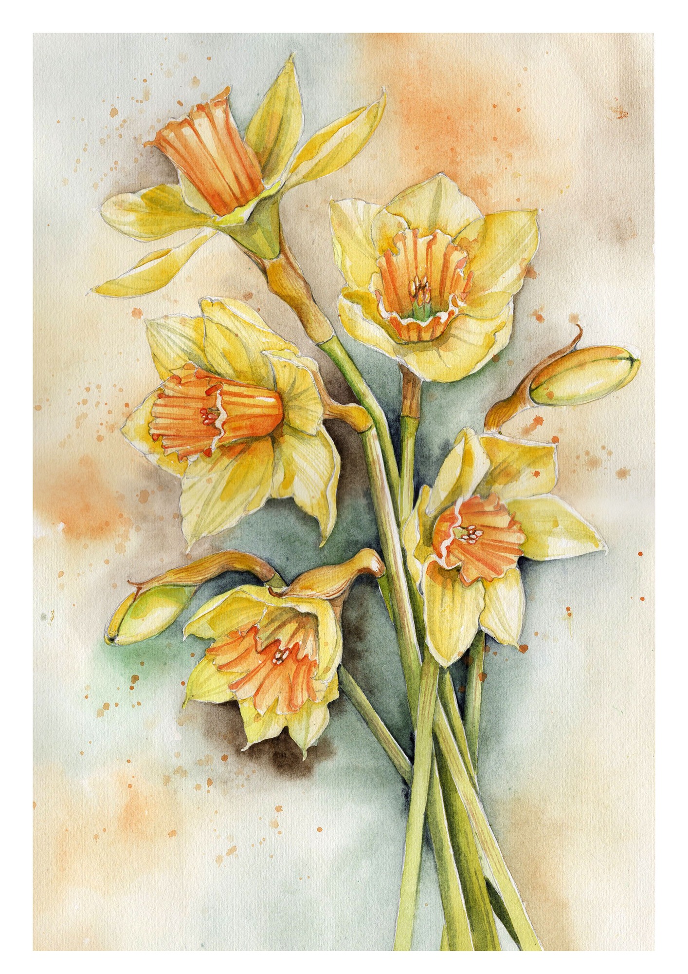 BP - 007P Daffodils