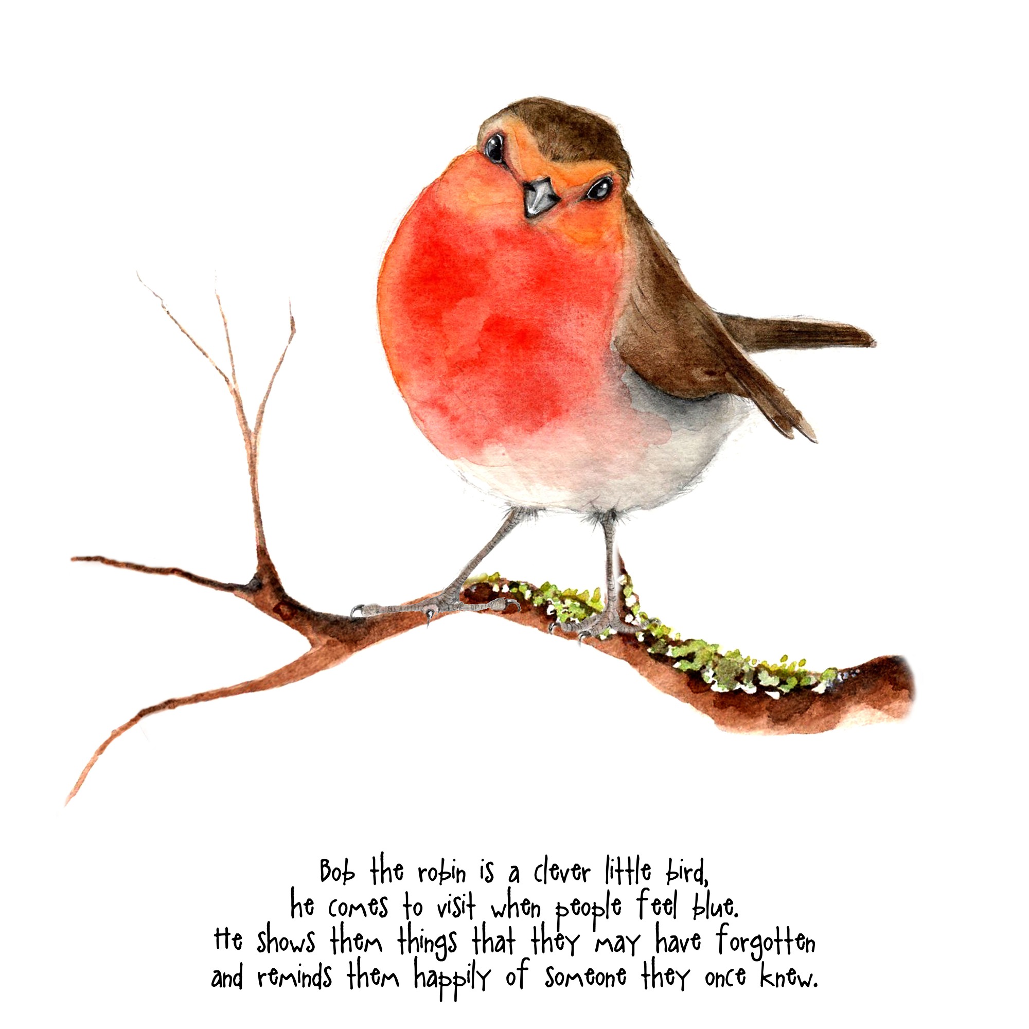 FF - 001C Bob the robin.jpg