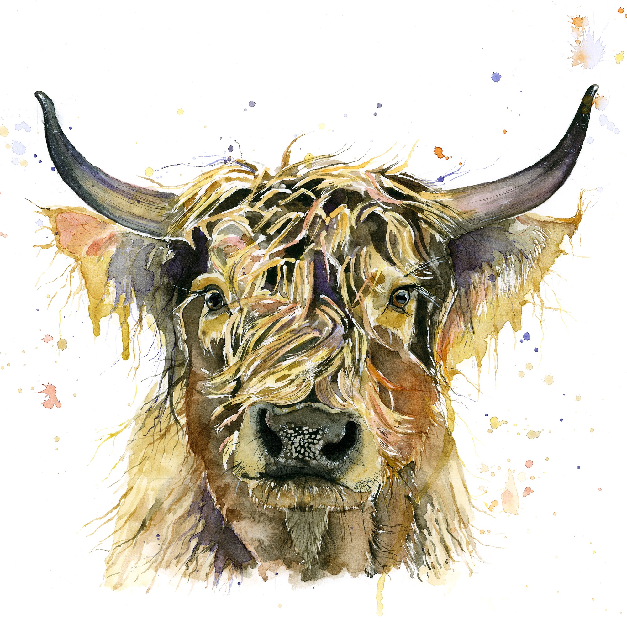 CGAS - 006C Highland cow Stan.jpg