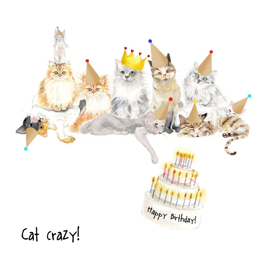 EDL - 006C Cat crazy